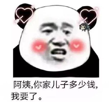 阿姨你家儿子多少钱我要了