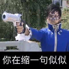 你在缩一句似似