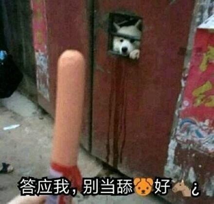 答应我，别当舔狗好吗？