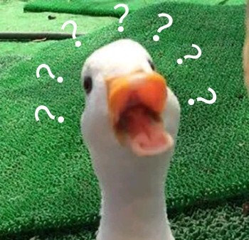 鸭子疑惑
