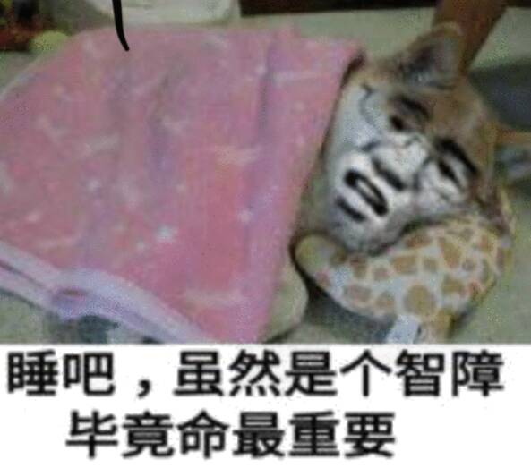 睡吧虽然是个智障毕竟命最重要
