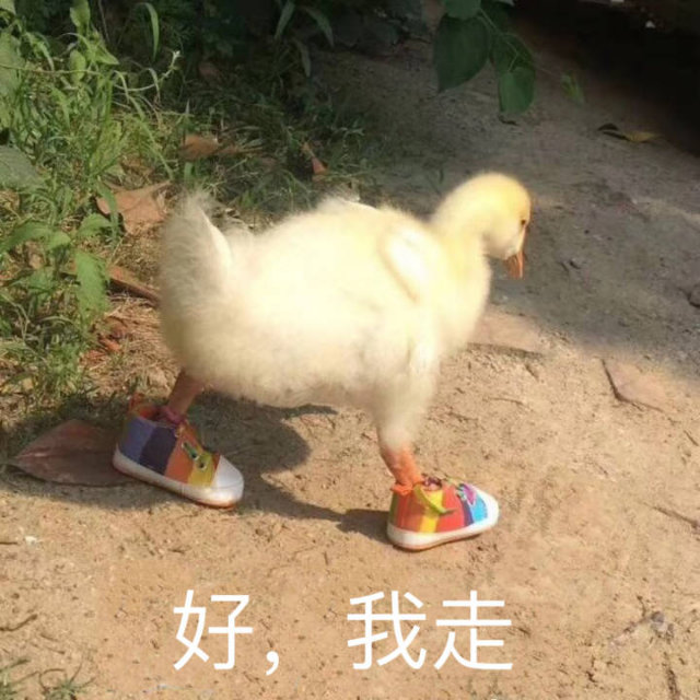 好我走