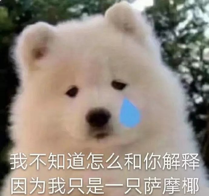我不知道怎么和你解释 因为我只是一只萨摩耶
