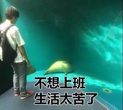 不想上班生活太苦了