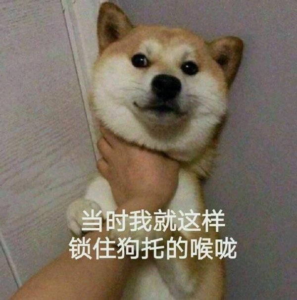 当时我就这样锁住狗托的喉咙