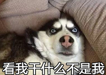 看我干什么不是我