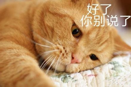 好了 你别说了