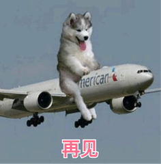 再见