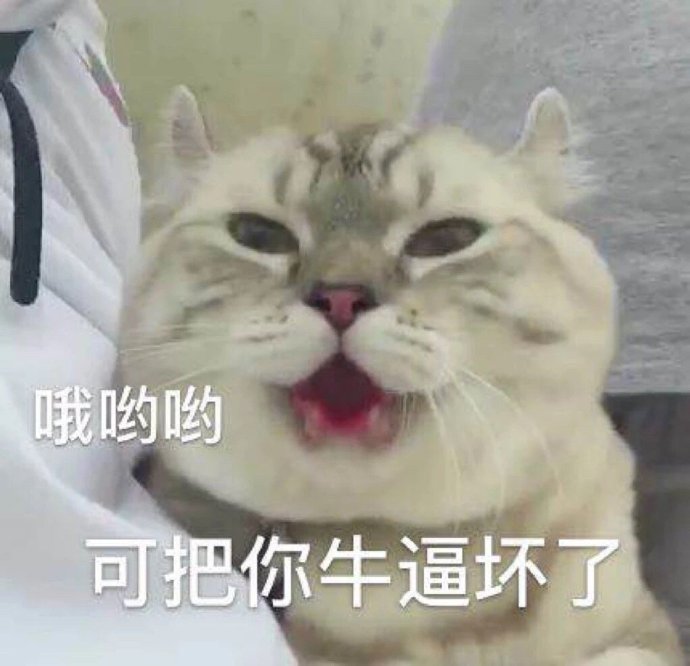 可把你牛逼坏了