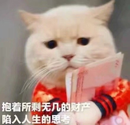 抱着所剩无几的财产陷入人生的思考