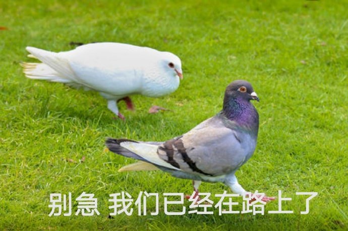别急我们已经在路上了