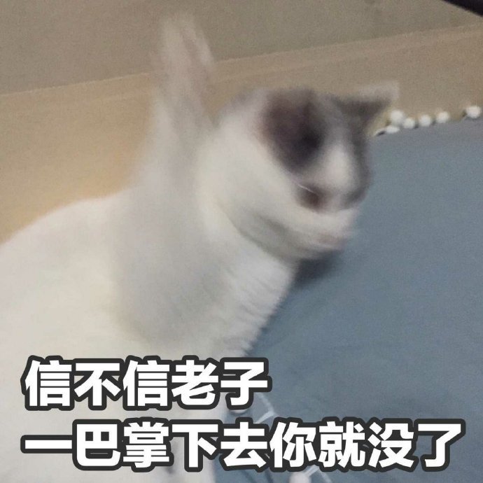 信不信老子一巴掌下去你就没了