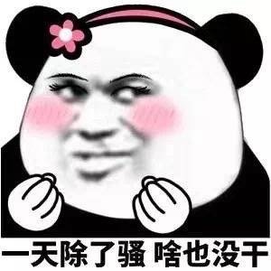 一天除了骚啥也没干