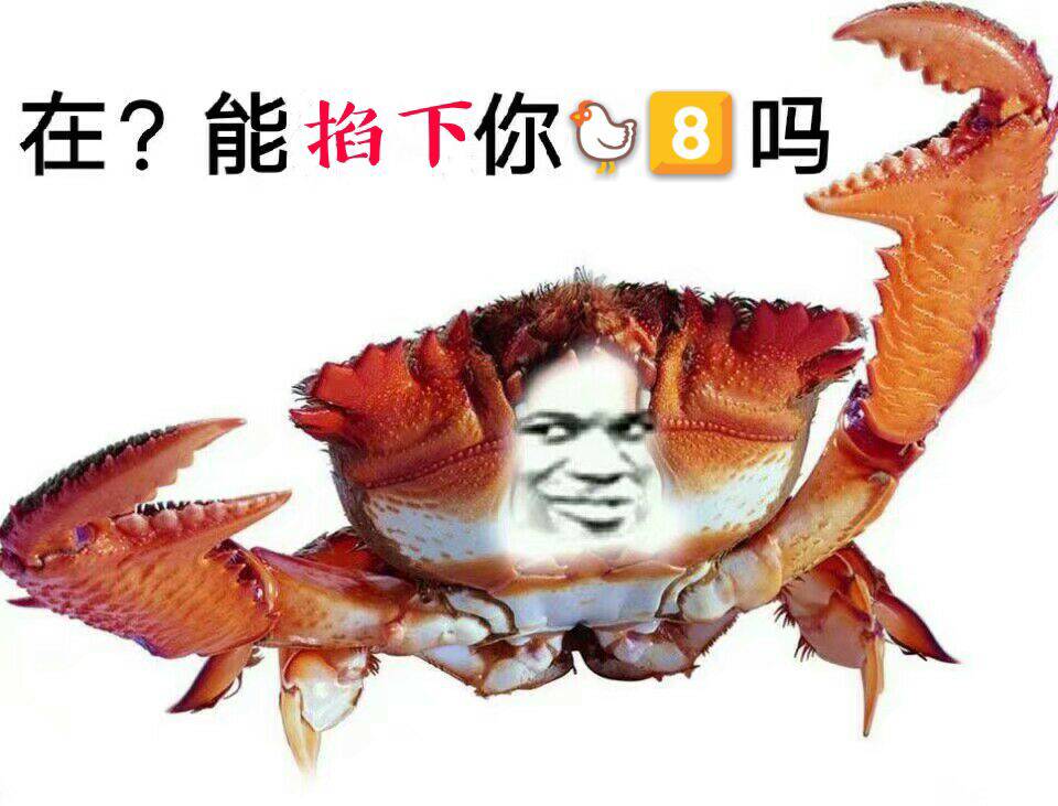 在能掐下你J8吗