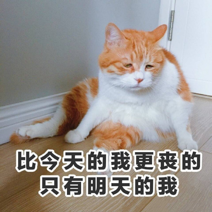 比今天的我更丧的只有明天的我