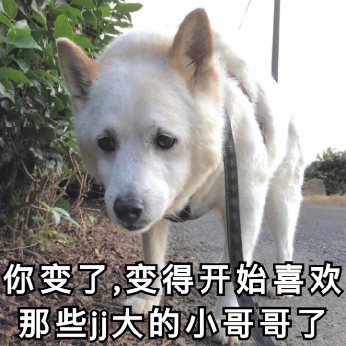 你变了变得开始喜欢那些JJ大的小哥哥了