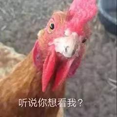 听说你想看我