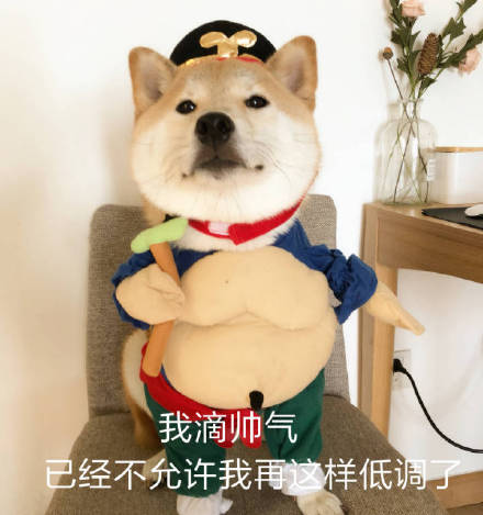 我滴帅气已经不允许我再这样低调了