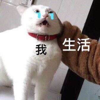 生活打我