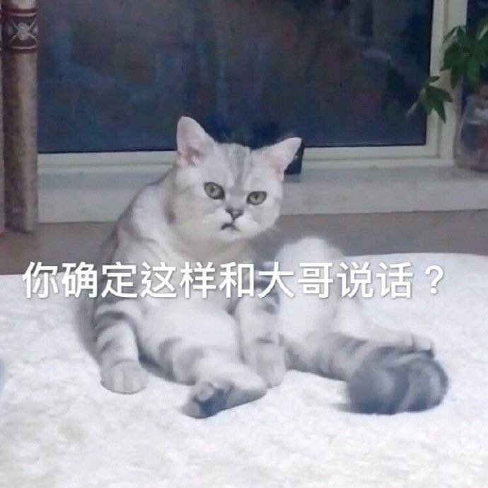 你确定这样和大哥说话