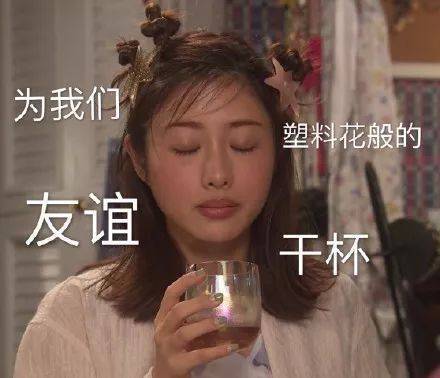 为我们塑料花般的友谊干杯