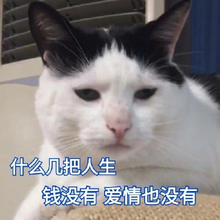 什么几把人生钱没有爱情也没有