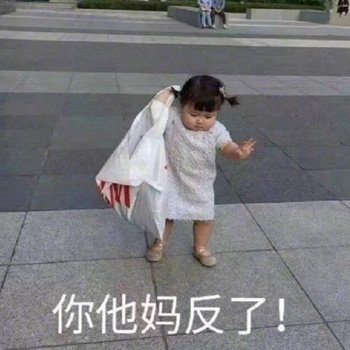 你他妈反了