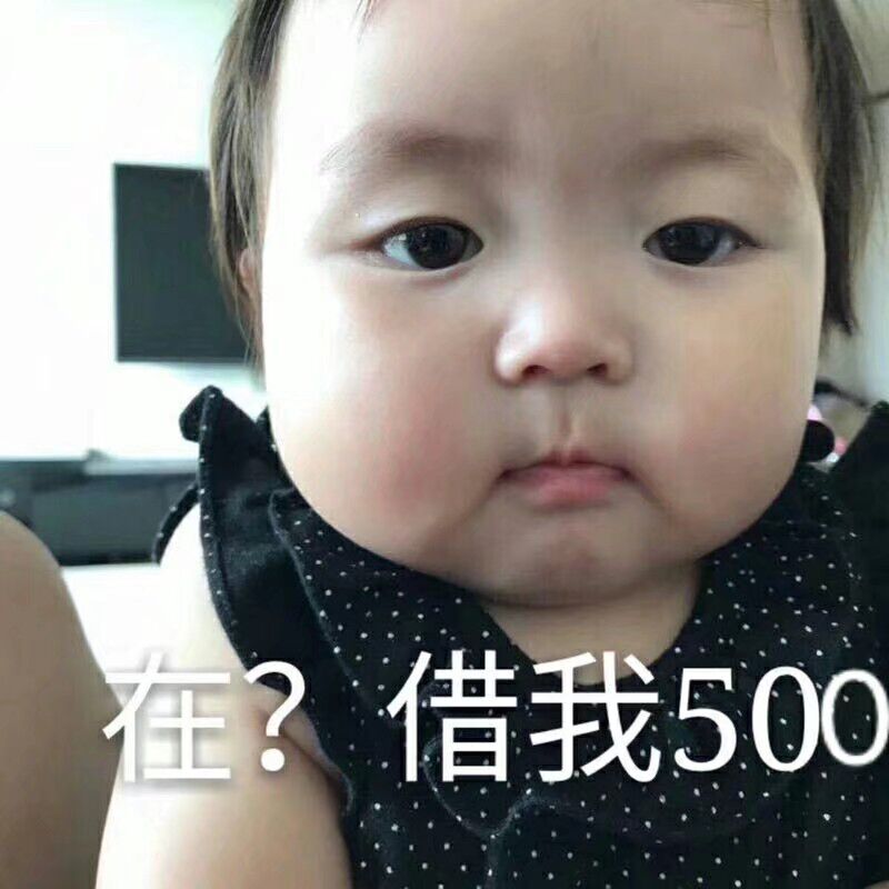 在借我500