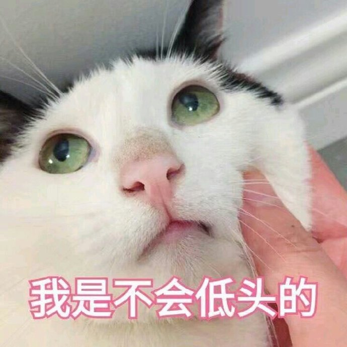 我是不会低头的