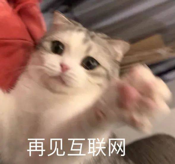 再见互联网