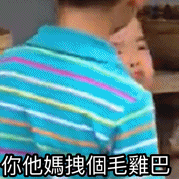 你他妈拽个毛鸡吧