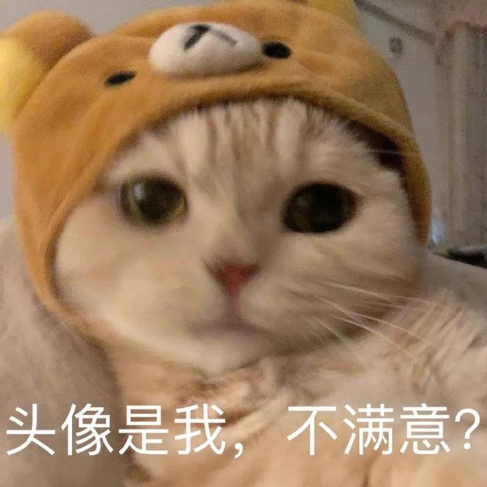 头像是我不满意