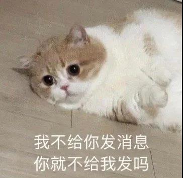 微信必备的猫咪狗狗表情包图片带字
