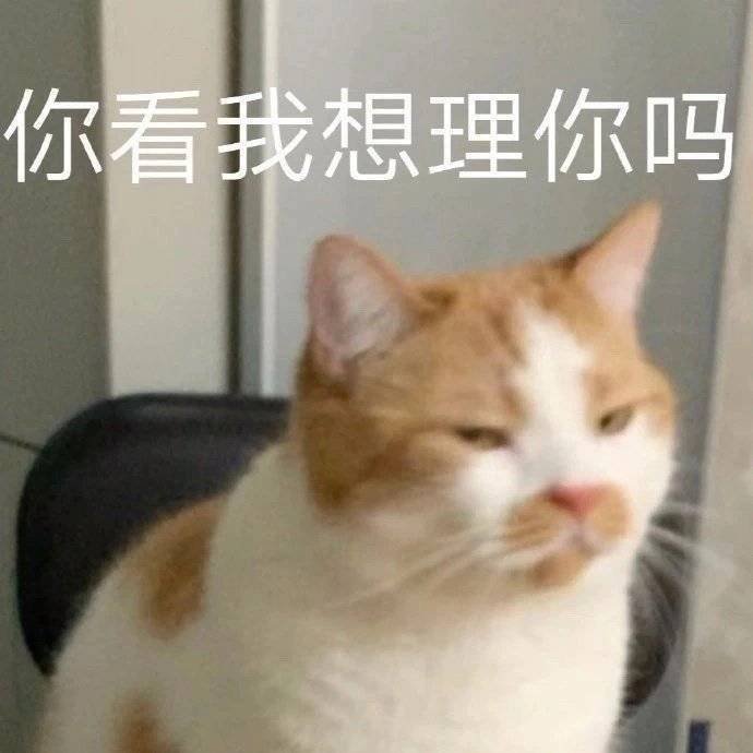 怼人超爽的微信表情包图片带字