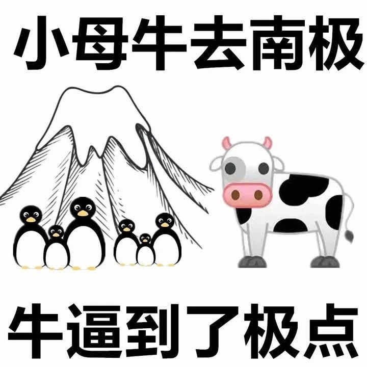 微信聊天怼人表情包越毒越好