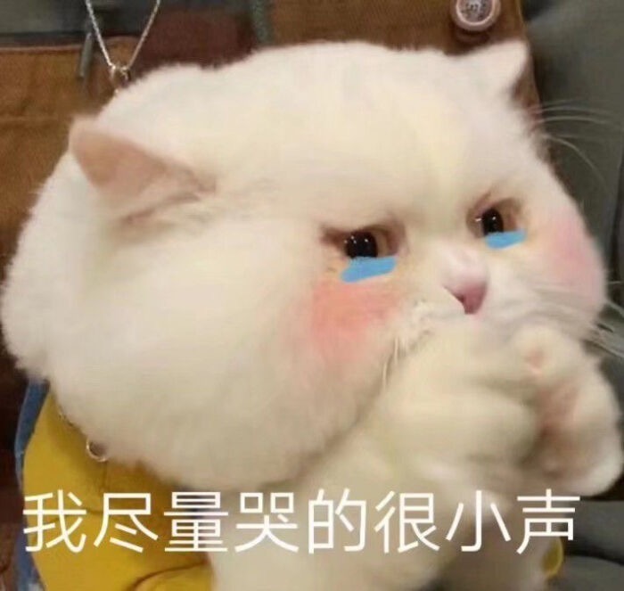 卖惨表情包图片带字|再坚持坚持一辈子很快就过去了