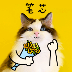 可爱猫咪笔芯表情包微信图片