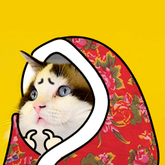 撒娇可怜社交猫咪萌宠GIF动图表情包图片