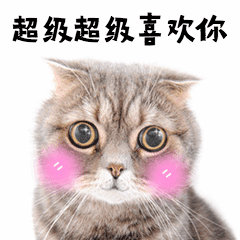 520情人节表白可爱萌宠动态表情包图片