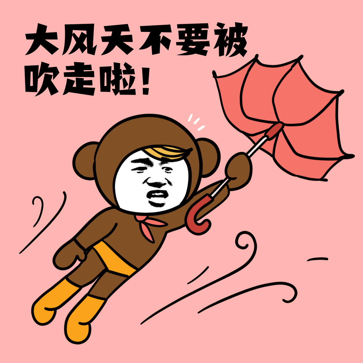 大风天气关怀趣味表情包图片
