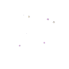 七夕节日鲜花GIF动态表情包图片