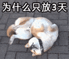 五一劳动节搞笑表情包大全