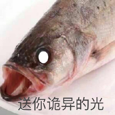鱼眼中诡异的光表情包图片