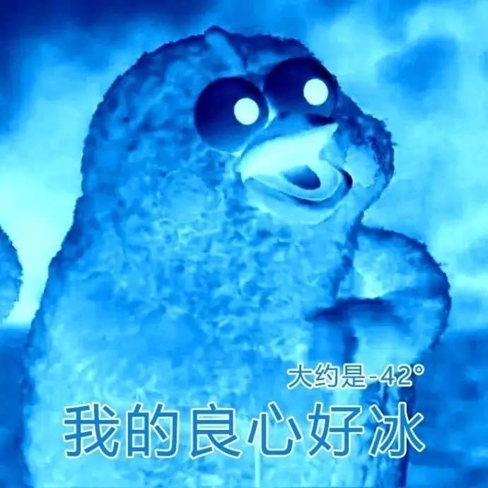 鹦鹉兄弟良心表情包合集微信图片