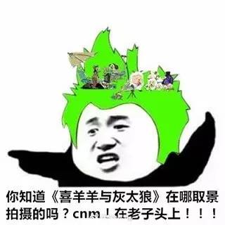 绿帽子搞笑表情包图片大全