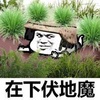 吃鸡爆笑微信表情包大全
