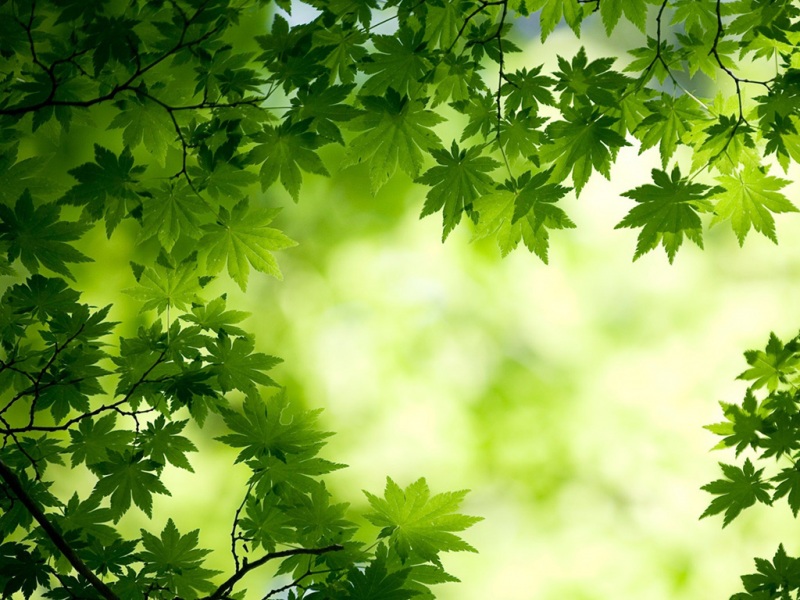 唯美小清新高清风景电脑桌面壁纸图片
