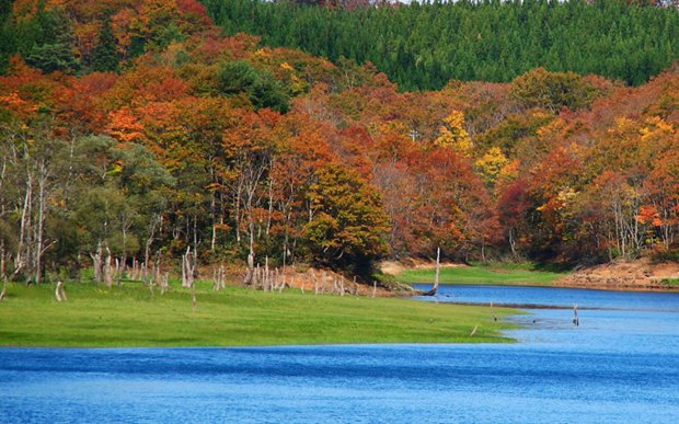 秋天湖光山色风景图片