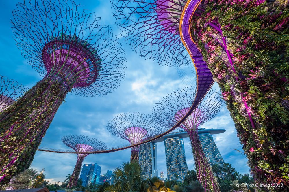 新加坡滨海湾花园旅游景点照片高清图片