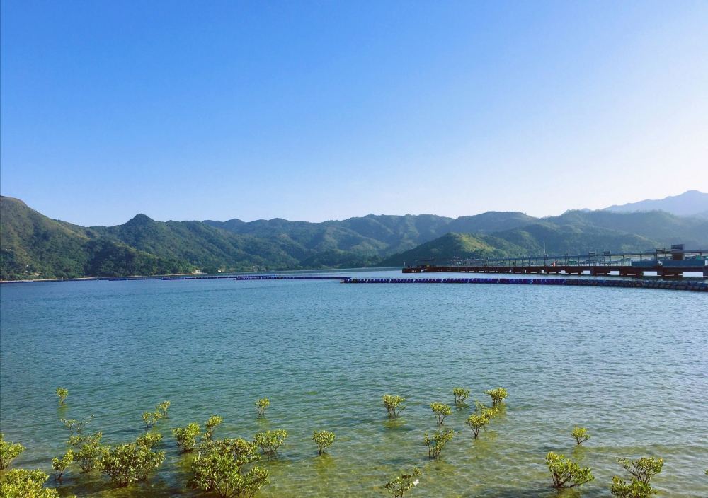 当下火热的深圳沙头角中英街旅游景点风景图片